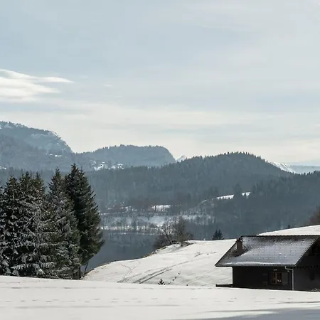 Appartement Chaleureux 4 Pers, Centre Village, Proche Pistes Et Commerces, Balcon Sud-ouest - Fr-1-572-105 Les Carroz d'Araches